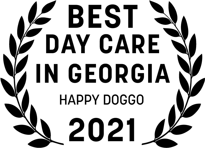 Selected Best Dog Day Care in Georgia - Happy Doggo
